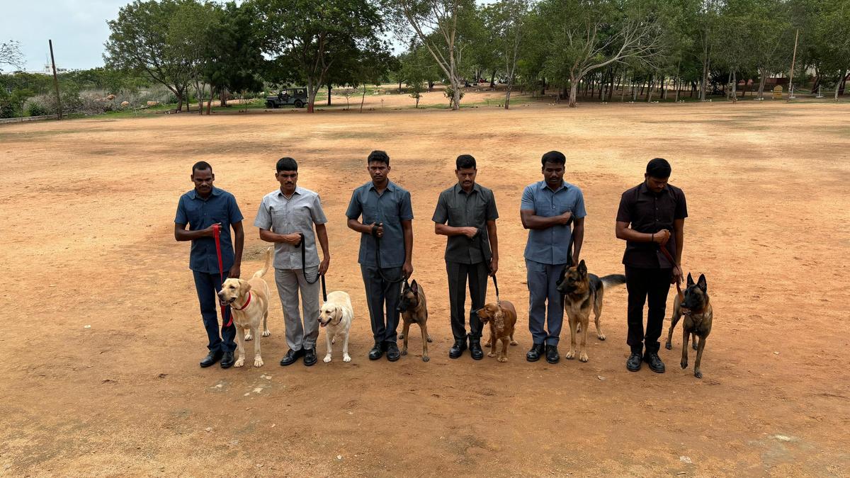 From puppies to protectors: Journey of canine cadet in Telangana’s IITA  